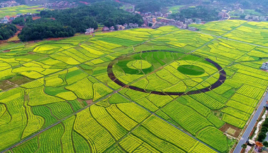 	China Jikan Research Institute of Engineering Investigation and Design Co, Ltd.